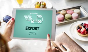 Export Area manager a Lecce